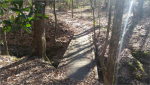 Mary Ann Brown Preserve Small Bridge
