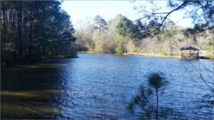 Nice View of the Lake Mary Ann Brown Preserve Hiking Trail