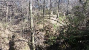 The Overlook at Mary Ann Brown Preserve Hiking Trail